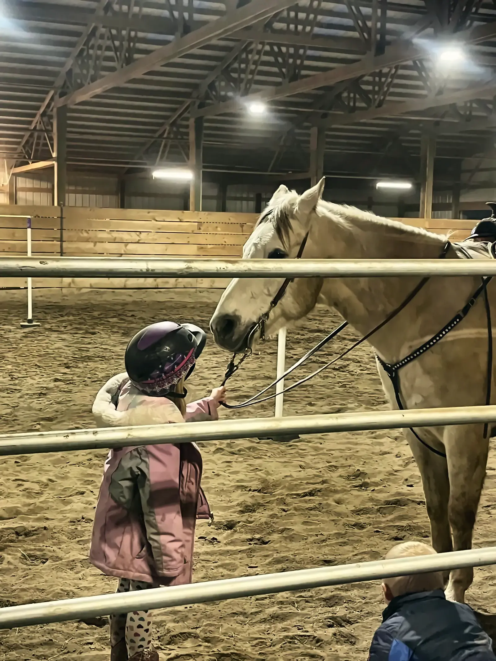 A child meeting a horse over the fence