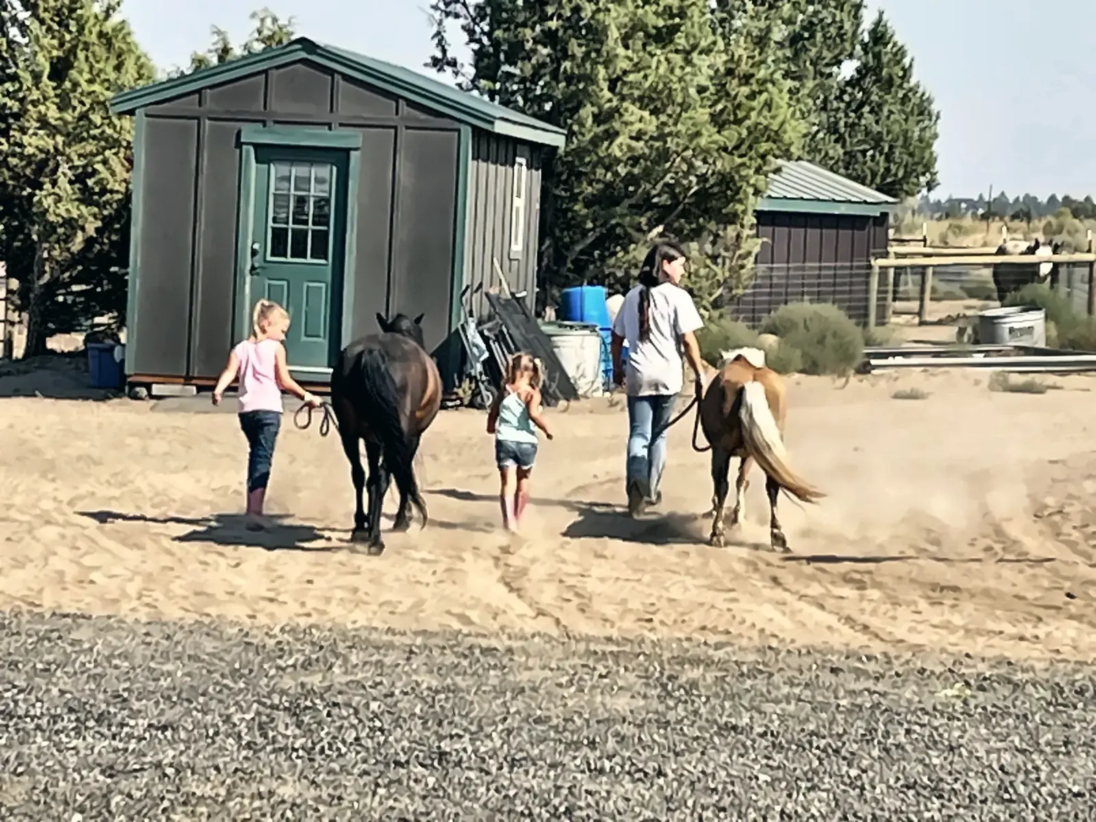 Kids walking horses back to the barn