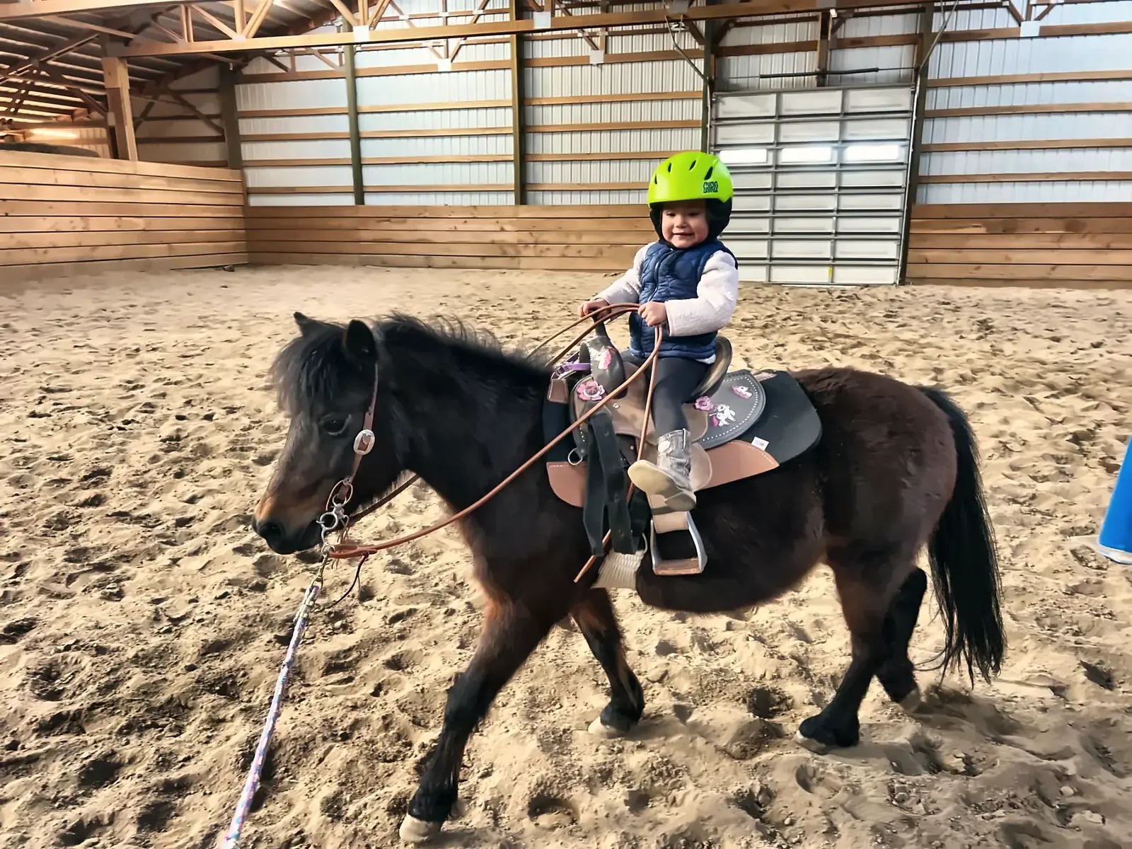 A young rider on a pony