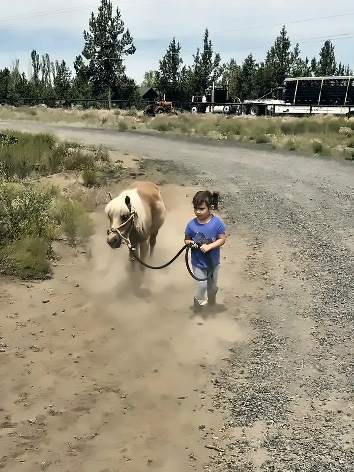 A little girl leading a pony