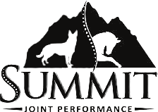 Summit Joint Performance