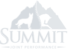Summit Joint Performance